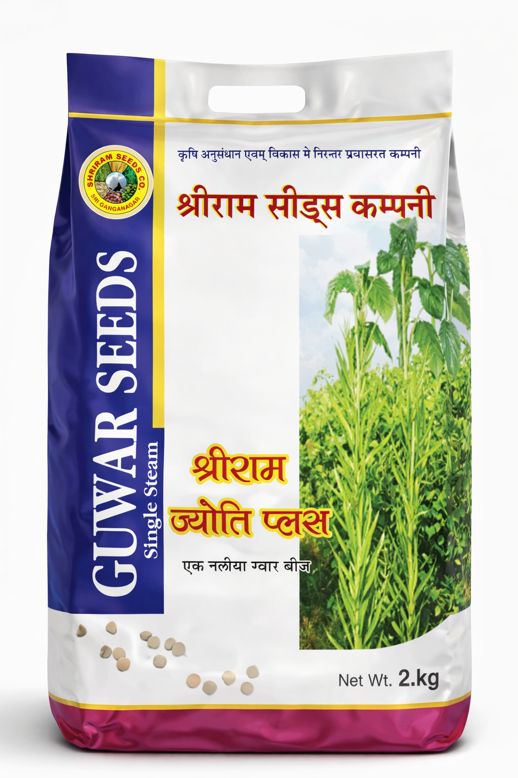 Guar Seeds